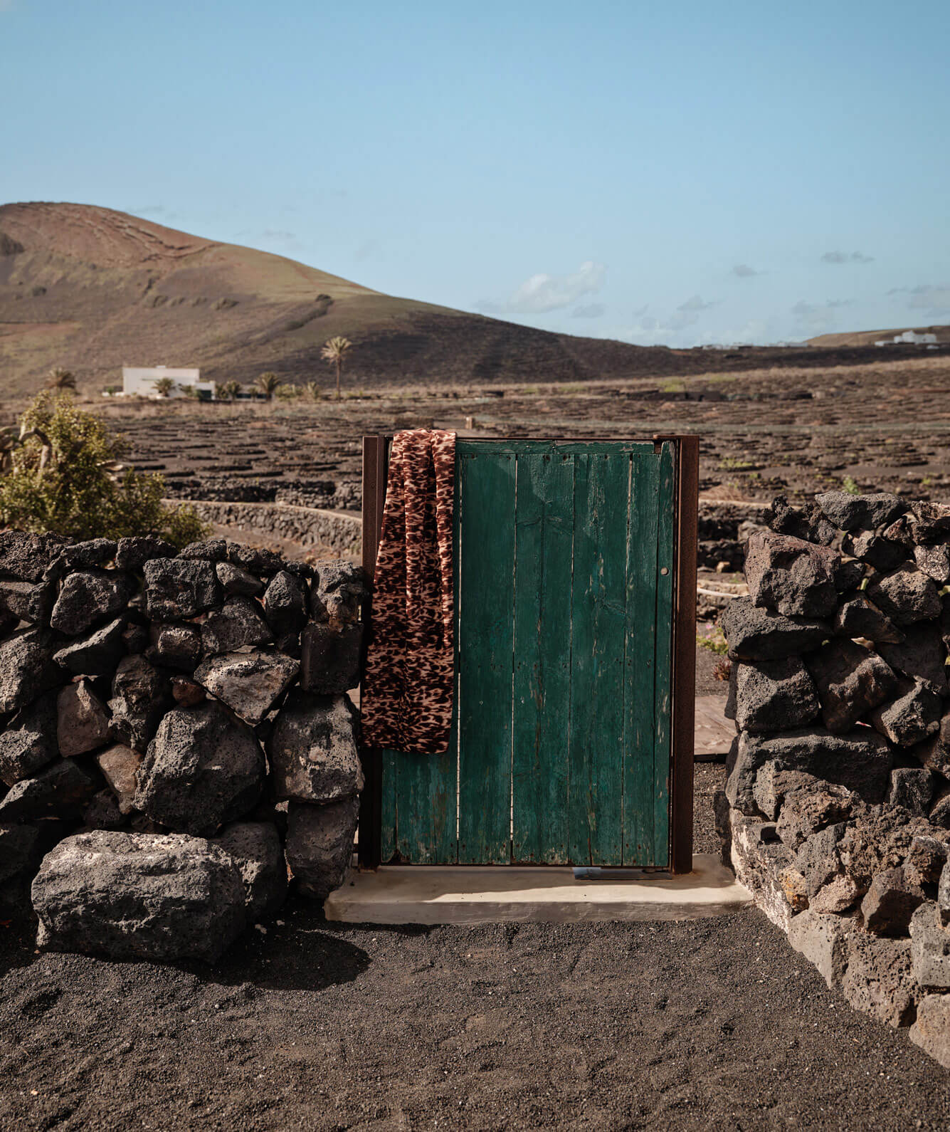 Accessori trekking Archivi - REWILD